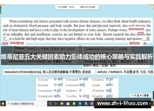 维蒂尼亚五大关键因素助力集体成功的核心策略与实践解析