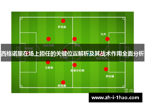 西格诺里在场上担任的关键位置解析及其战术作用全面分析