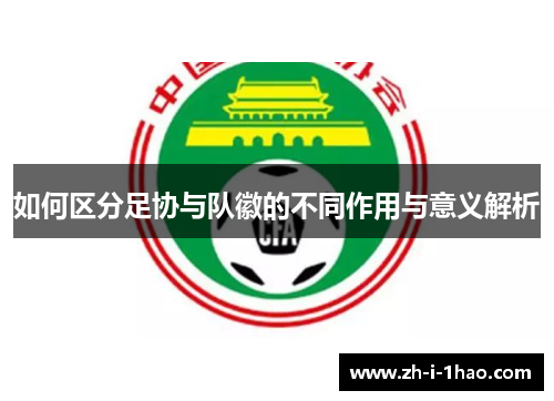 如何区分足协与队徽的不同作用与意义解析 如何区分足协与队徽的不同作用与意义解析