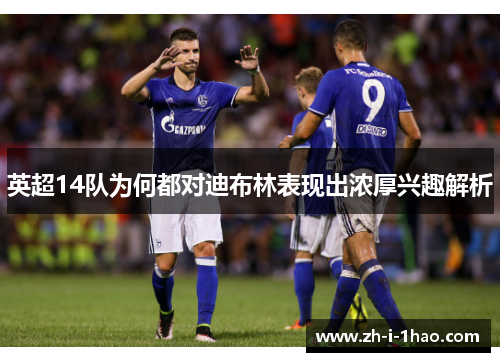 英超14队为何都对迪布林表现出浓厚兴趣解析